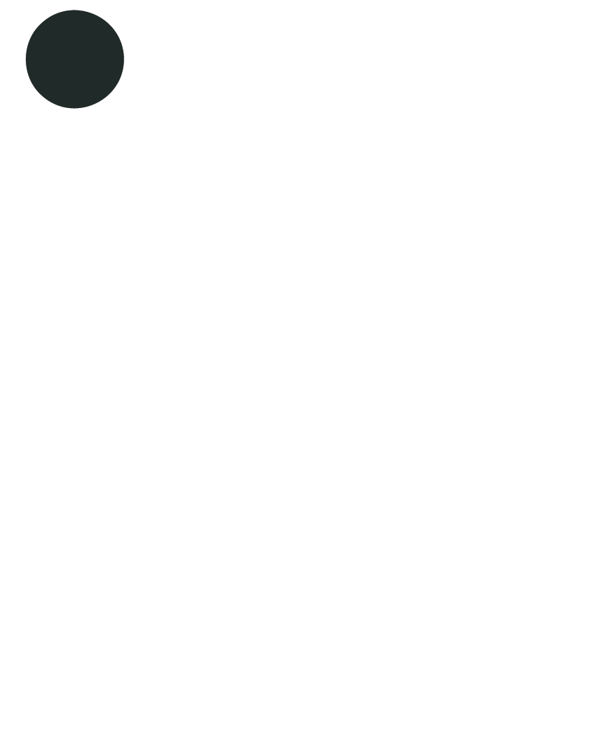 Niva Negar